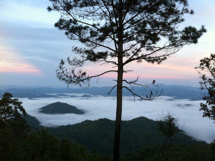 Phu Mork Dao Resort Pong Yaeng Luaran gambar